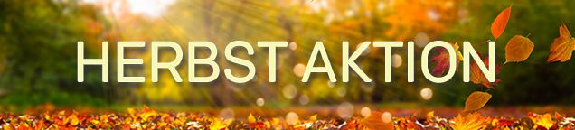 Herbst Aktion